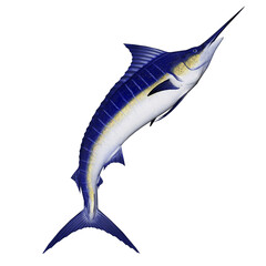 Marlin fish jump - 3D render - 549084817