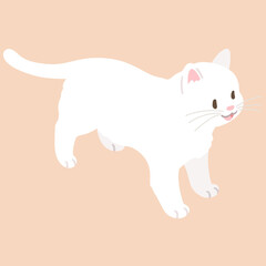 Simple and adorable illustration of white cat smiling top view flat colored