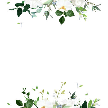 Classic white peony, hydrangea, magnolia and orchid flowers, eucalyptus, fern, salal, greenery vector design