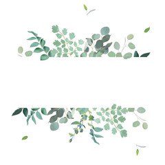 Herbal eucalyptus selection vector frame. Hand painted branches, leaves on white background