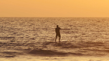 Obraz premium Stand up paddler silhouette at sunset