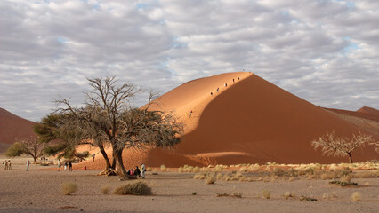 Wanderdüne Namibia