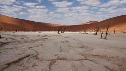 Wanderdüne Namibia