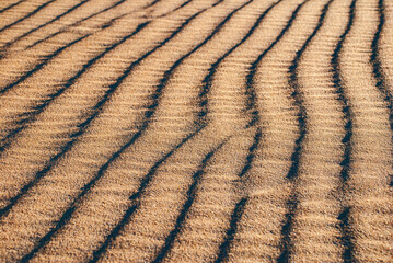 Areia (Mineral) | Sand