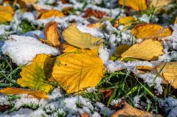 Wechsel zwischen Herbst und Winter mit Bodenfrost und erstem Schnee auf dem Herbstlaub