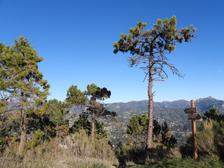 Obraz premium Paysage de montagne à l'automne dans l'arrière pays de Nice avec les sommets du Mercantour
