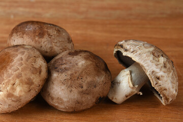 edible and healthy mushrooms for food fungi used in cooking