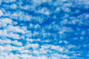 Fototapeta premium Small white clouds are evenly spaced against the background of the blue sky as a background, texture, pattern.