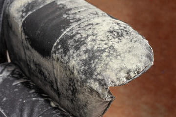 Cropped shot of an mold on black couch, fungus on black background, bacteria on black surface