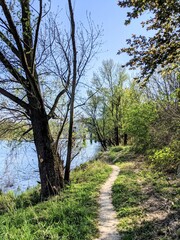 Obraz premium Single track near the river saone