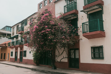 Cartagena, Colombia home with flowers on the wall