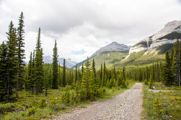 Elbow Loop Trail in mountains, Kananaskis Country, Alberta