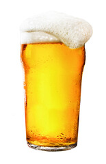 glass of lager beer with frothy foam isolated on transparent background - obrazy, fototapety, plakaty