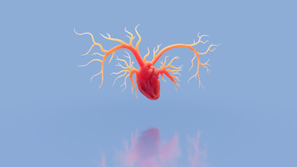 Fototapeta na wymiar Open heart and large veins, concept on a blue background. Heart health or emotions of love