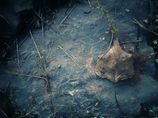 Background with leaf on stone surface