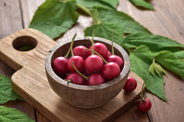 Talok fruit has different names such as karsen, karsem, kerukup siam, keres. This cherry-like fruit is known as kersen. The Dutch used to call it the Japanese kers. Harvest Day