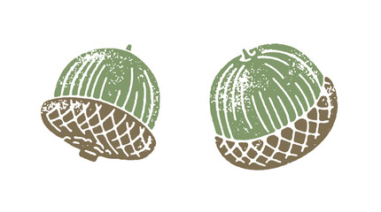 Two-color textured vector illustration of acorns