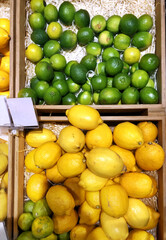 buying fruits(lemons, oranges, lime, pomelo, grapefruit)  at the market