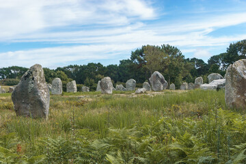 Miles long megalithic stones alignment on green meadow in Carnac, Brittany, France