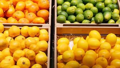 buying fruits(lemons, oranges, lime, pomelo, grapefruit)  at the market