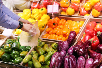 buying vegetables(cucumbers, tomatoes, onions, peppers, eggplant, zucchini) at the market