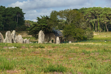 Miles long megalithic stones alignment on green meadow in Carnac, Brittany, France