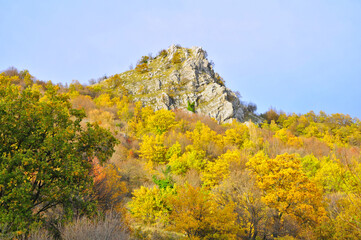 Obraz premium foto in autunno di pizzo o cima di pietra tra gli alberi colorati autunnali, paesaggio montano italiano