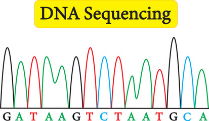 Sample Chromatogram of DNA sequencing
