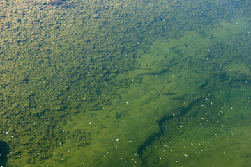 Amazing Landscape of Vit river, passing near village of Aglen, Bulgaria