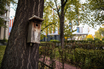 Wooden bird house