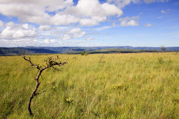 The unique landscape in Chapada dos Veadeiros (Chapada dos Veadeiros National Park), Alto Para&iacute;so de Goi&aacute;s, Brazil
