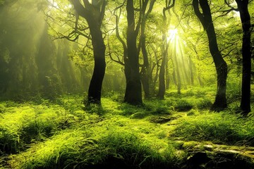 green landscape scenery a forest full of green trees and moss, sunshine morning rays