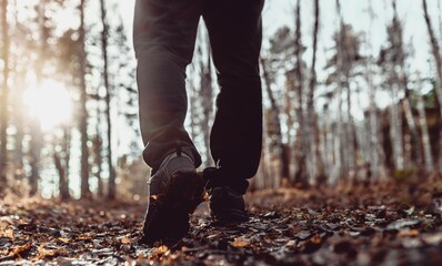 walking in the woods