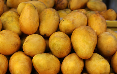 Pile of delicious ripe yellow mangoes, closeup