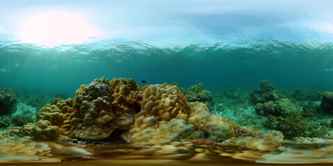 Naklejka na ściany i meble Tropical Underwater Colorful Reef. Tropical underwater sea fish. Philippines. Virtual Reality 360.