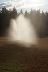 Sportanlage wird bew&auml;ssert. Spr&uuml;hrichtung, Sonne und Fotograf liegen in einer Richtung. 