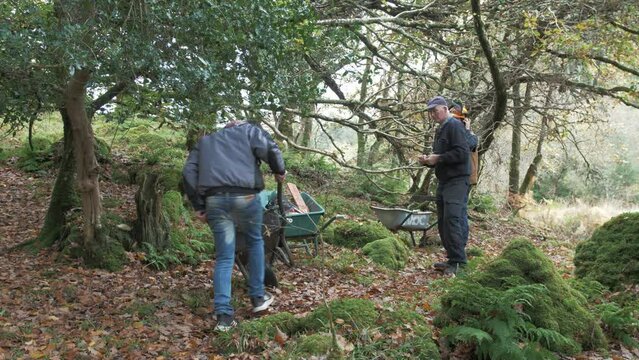 Team of men in the forest preparing to cut felled tree