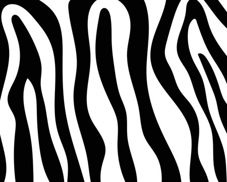 vector zebra skin pattern black and white.
