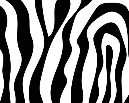 vector zebra skin white stripes.