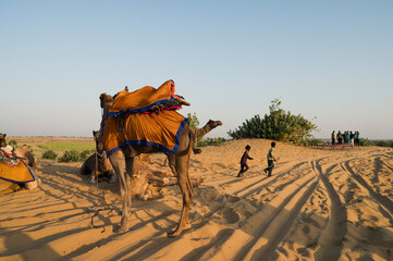 Young Cameleers taking camel to tourists to watch sun rise,at Thar desert, Rajasthan, India. Dromedary, dromedary camel, Arabian camel, or one-humped camels are used for camel riding, adventure sport.