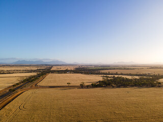 Obraz premium Rural Road - Wheat Belt Western Australia 