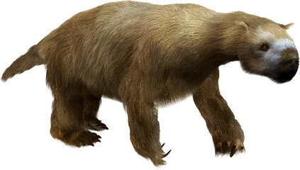 Megalonyx  Giant Ground Sloth on Transparent Background © auntspray