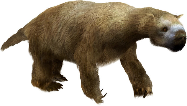 Megalonyx; Giant Ground Sloth on Transparent Background