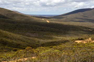 Dirt Roads - Remote Western Australia