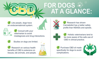 CBD for dogs at a glance is infographic information