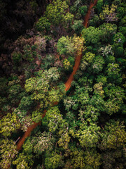 Forrest from above - Western Australia