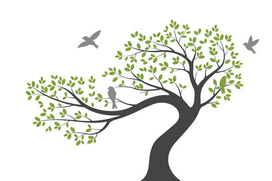 Tree Wall decoration Concept. Bird on branch wall decoration sticker design vector illustration