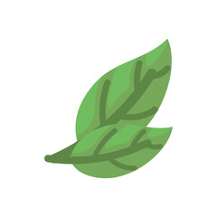 colored plant leaves