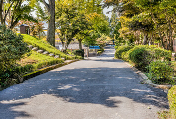 Obraz premium Paved lane in park like setting
