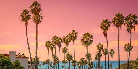Sunset and palm trees on the beach against the soft pink tropical sky over the blue pacific ocean water